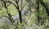 Tocht Stappen Édon - La randonnée du château de Larochebeaucourt et de l'arche de la vertue  - Photo 3