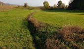 Tour Zu Fuß Marktrodach - FrankenwaldSteigla Muschelkalkweg - Photo 8