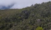 Tocht Stappen Salazie - Tour du Piton des Neiges par le petit GRR1 / J4 - Photo 2