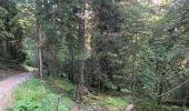 Tour Wandern Taninges - Balade autour de Beauregard - Photo 3