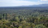 Trail Walking Bagnols-en-Forêt - Les gorges du Blavet casteldiaou - Photo 5