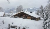 Excursión Raquetas de nieve Demi-Quartier - Darbelets(Choseaux) Prapacot - Photo 3