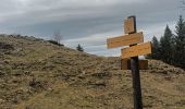 Excursión Senderismo Saint-Pierre-d'Entremont - le Grand Manti au départ de Les Varlat en passant par L'Alpette de la Dame  - Photo 8