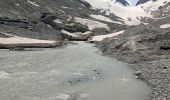 Randonnée Marche Guttannen - glacier d'Oberaarhon - Photo 1