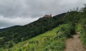 Randonnée Marche Ribeauvillé - boucle ribeauvillé-château St Ulrich-carrefour du cerisier noir-bergheim-ribeauvillé - Photo 9