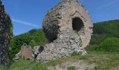 Tour Wandern Steinbach - 68 Steinbach - Thann 2019 05 23 - Photo 2