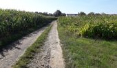 Trail On foot Fosses-la-Ville - Mon parcours - Photo 5