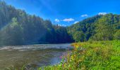 Tour Wandern Bouillon - 2024-09-15_08h33m03_Les Hayons Bouillon - Photo 4