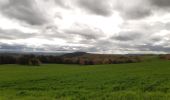 Trail Walking Newel - RÖMERPFAD - Photo 15