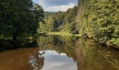 Excursión Senderismo Houffalize - tour du lac des 2 ourthes - barrage de Nisramont  - Photo 9