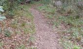 Excursión Senderismo Corbère-les-Cabanes - cerbère chapelle sa t père del bosc - Photo 7