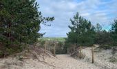 Randonnée Marche Bergen (NH) - Groet - schoorlse duinen - Photo 6