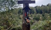 Trail Walking Theux - gervova . chemin du ninglinspo . chifgotte . charmille . gervova - Photo 14