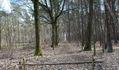 Trail Walking Scherpenheuvel-Zichem - Averbode Hertberg 17,1 km - Photo 3