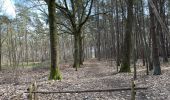 Tour Wandern Scherpenheuvel-Zichem - Averbode Hertberg 17,1 km - Photo 3