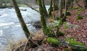 Tocht Stappen La Roche-en-Ardenne - Maboge  - Photo 18