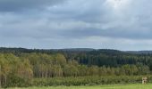 Tour Wandern Léglise - Bombois 8-9 km - Photo 4