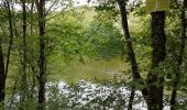 Randonnée Marche Champagney - Canal souterrain de la Haute-Saône - Photo 14