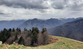 Randonnée Marche Ferrère - pic de Douly en boucle depuis Ferrère  - Photo 2