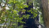 Tocht Stappen Milly-la-Forêt - Milly-la-forêt  - Photo 1