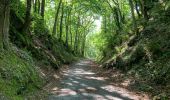 Tour Wandern Fontrieu - Bout du petit train  - Photo 1