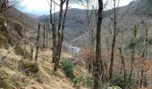 Trail Walking Brassac - L’escalier de la Peyre par les Costes - Photo 6