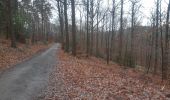 Trail Walking Verviers - mariomont - la gileppe aller via 
