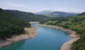 Randonnée Marche Treffort - Les Passerelles du Monteynard - Photo 6