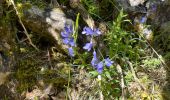 Trail Walking La Palud-sur-Verdon - La palud sur Verdon - Photo 6