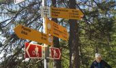 Trail Nordic walking Arbaz - mayens de la Zour  - Photo 2