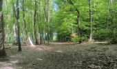 Trail Walking Canteleu - Forêt monumentale - Photo 18