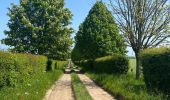 Trail Walking Paliseul - Maissin, pvl juillet 2025 - Photo 2