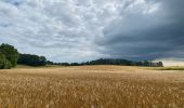 Tocht Stappen Tervuren - Le long du Voer - Photo 2