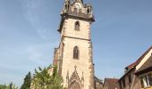 Trail Walking Barr - Domaine Saint Jacques , Obernai  - Photo 4