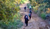 Trail Walking Gonfaron - CVI7-GonfaronNG-291121 - Photo 13