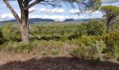 Tocht Stappen Roquebrune-sur-Argens - z les 3 ruisseaux 20-10-20 - Photo 3