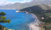 Randonnée Marche Patrimonio - sentier du littoral de St Florent à Punta di Saeta - Photo 2