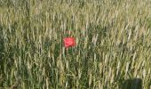 Tour Wandern Valorbiquet - la rando des lavoirs  - Photo 5