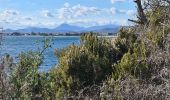 Excursión Senderismo La Londe-les-Maures - La Londe - L'argentiere vers le Pellegrin - Photo 3