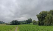 Tocht Stappen Riemst - kanne . maastricht . kanne - les 2 rives  - Photo 4