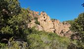 Tour Wandern Bagnols-en-Forêt - BAGNOLS EN FORÊT - LES GORGES DU BLAVET - Photo 9