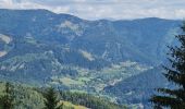 Tour Wandern Masevaux-Niederbruck - Reco avec ALAIN..Rando CLAS du 29/08/2024 - Photo 18