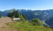 Trail Walking Morzine - morzine la cime de Nyon  - Photo 7