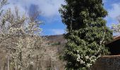 Tour Wandern Pélussin - Randonnée du tacot à Pelussin  - Photo 13