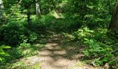 Tocht Stappen Vendôme - Randonnée dans le Bois de l'Oratoire à Vendôme  - Photo 11