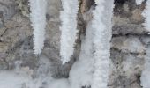 Tour Schneeschuhwandern Bouvante - Tour de Montué - Photo 2