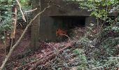 Tocht Stappen Seraing - Randonnée des 3 bunkers - Photo 7