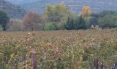 Randonnée Marche Fontès - Cerresou  - Photo 4