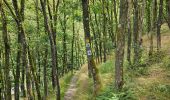 Tour Wandern Vianden - 2023-06-19_15h21m20_eislek-pad-vianden-1 - Photo 5