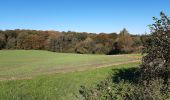 Tour Wandern Neupré - 21.10.24 plainevaux - Photo 5